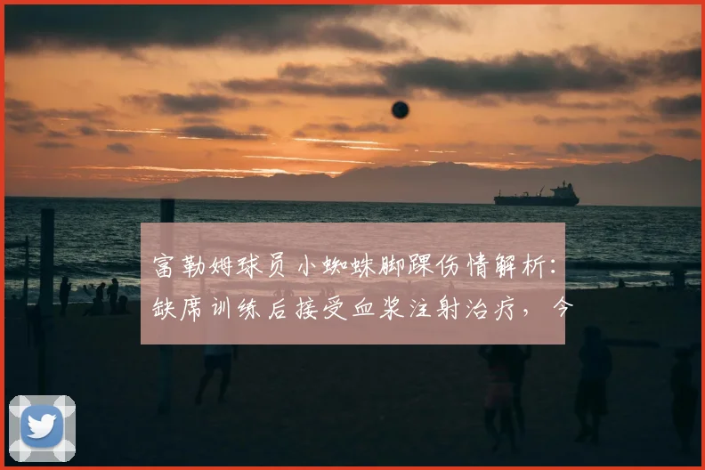 富勒姆球员小蜘蛛脚踝伤情解析：缺席训练后接受血浆注射治疗，今日已恢复训练